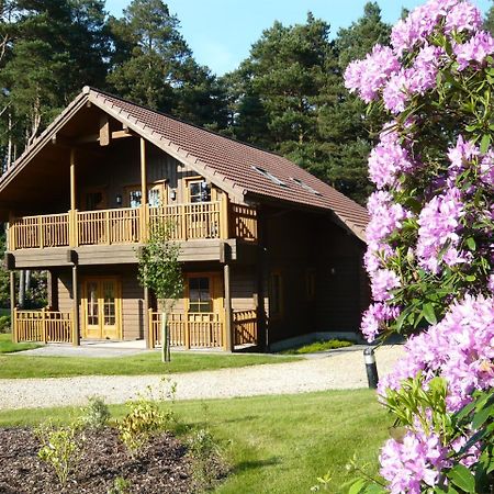 The Dorset Resort East Stoke  Kültér fotó